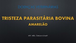 Doenças Veterinárias  Tristeza Parasitária Bovina  quotAmarelãoquot Parte I [upl. by Tayyebeb871]