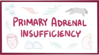 Primary adrenal insufficiency Addisons disease  pathology symptoms diagnosis treatment [upl. by Auqinaj]