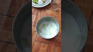 MUST TRY this muskmelon Shake to keep your immune system healthyRecipe by Poonamkirasoi26 viral [upl. by Mobley987]