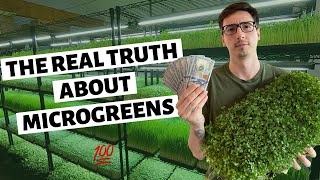 The REAL TRUTH About Growing Microgreens For Profit [upl. by Sopher]