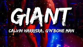 Calvin Harris RagnBone Man  Giant Lyrics [upl. by Ain]