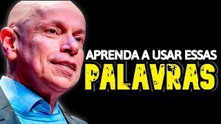 Aprenda a Evitar Conflitos  Leandro Karnal Motivação [upl. by Ayom868]