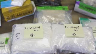 How Georgia is working to reduce fentanyl deaths [upl. by Ydnolem]