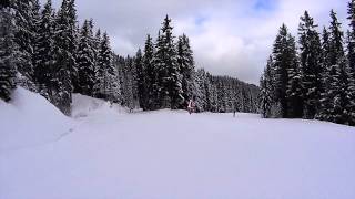 CourchevelLa Tania Piste Folyeres [upl. by Yelkao]