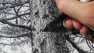 CrossHatching Demonstration Trees [upl. by Terina]