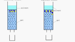 Column Chromatography animation YouTube [upl. by Ydiarf]