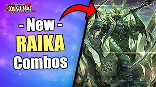 2 MUST KNOW COMBOS  NEW RAIKA COMBOS  POST LEGACY OF DESTRUCTION LEDE  YuGiOh [upl. by Hughett469]