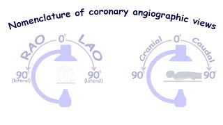 Coronary angiography Lesson 2 nomenclature of coronary angiographic views [upl. by Alikam853]