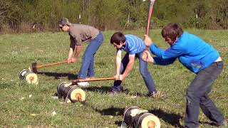 St patricks Day Axe Chopping Contest [upl. by Ithnan140]