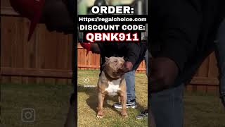 BREEDER’s 🤫 TOOLBOX 🧰 qbnkennel cbdoilfordogs  American Bully XL [upl. by Odine]