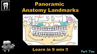 Panoramic Radiography landmarkOrthopantomogramOPGAnatomical LandmarkDental ExamDental Radiology [upl. by Adabelle796]