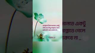 Islamic caption status video❤️islamic captionislamic caption bangla [upl. by Hsirahc]