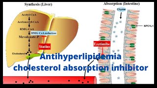 Antihyperlipidemia part 07Cholesterol absorption inhibitor EzetimibepharmdScienceandmedicine [upl. by Ahsoek]