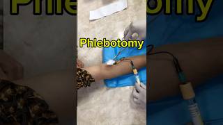 Phlebotomy [upl. by Sarah]