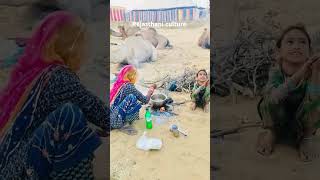 Rajasthani chay ka sukun rajasthanculture villagelife shortvideo vlog chay [upl. by Boyden]