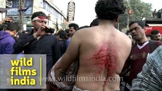 Shiite Muslims bleed as they flagellate themselves during Muharram [upl. by Aramac]