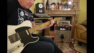 Tele Mania  Custom Telecaster  Custom Fuzz  Vibe Dynacord Echocord Super 76  Realtone amp [upl. by Hawk]