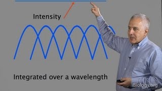 Microscopy Diffraction Jeff Lichtman [upl. by Laenahtan]