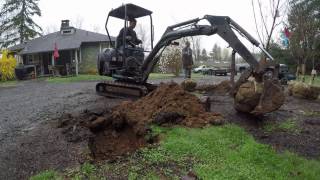 Planting trees [upl. by Fast791]