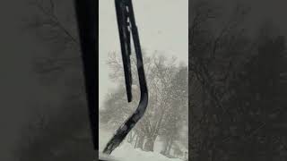 Driving in nearly whiteout conditions Lake effect snowstorm 11924 [upl. by Fabrienne]