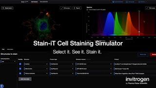 StainiT Cell Staining Simulator Tutorial [upl. by Grail988]