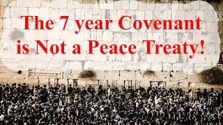 The 7 year Covenant is Not a Peace Agreement [upl. by Yeblehs658]