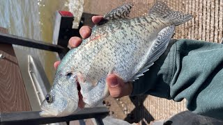 Boat Fishing Caballo Lake NM [upl. by Anikat]