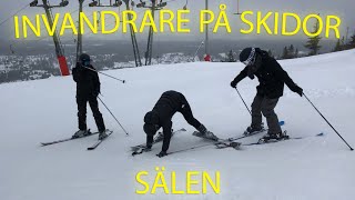 INVANDRARE PÅ SKIDOR  VLOGG 7 [upl. by Zat885]