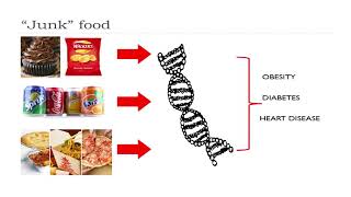 Nutrition in Pregnancy [upl. by Fredela569]