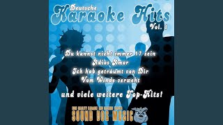 Du bist alles auf dieser Welt Karaoke Version Originally Performed By Brunner amp Brunner [upl. by Coppock]