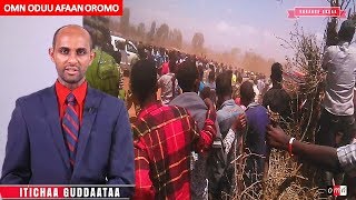 OMN ODUU AFAAN OROMO JAN102018 [upl. by Nay]