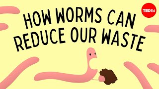 Vermicomposting How worms can reduce our waste  Matthew Ross [upl. by Sinnaiy]