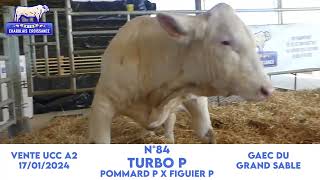 N°84 TURBO P  GAEC DU GRAND SABLE  POMMARD P x FIGUIER P [upl. by Enitsyrhc]