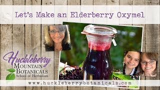 Let’s Make an Elderberry Oxymel [upl. by Odilia]