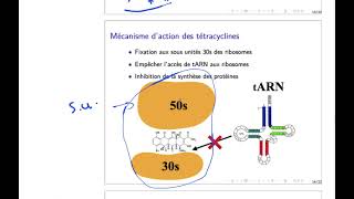 antibiotiques 12  tétracyclines [upl. by Cordle]