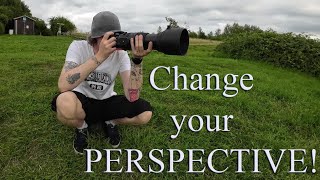 Improve your bird photography by changing your perspective [upl. by Irma450]