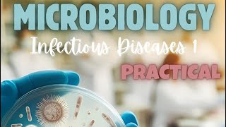 Practical Microbiology ID1  Part 5  Last [upl. by Glick]