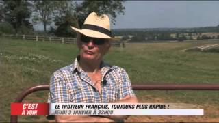 EXTRAIT  Le trotteur français toujours plus rapide  Equidia Live [upl. by Anihc]