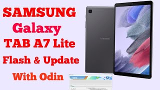 Samsung Galaxy Tab A7 Lite 2 WAYS TO TAKE SCREENSHOTS [upl. by Gavrielle]