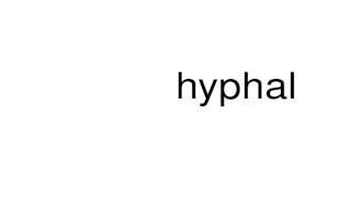 How to pronounce hyphal [upl. by Yatnuahc]