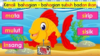 Sains Awal Prasekolah Bahagian Tubuh Badan Ikan [upl. by Sarajane258]