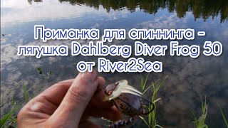 Приманка для спиннинга  лягушка Dahlberg Diver Frog 50 от River2Sea [upl. by Aranahs]