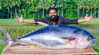 50 Kg  Tuna Fish ThavaFry  ഇത്രക്ക് വലിയ മീനെ പൊരിച്ചുകഴിച്ചാലോ  M4 Tech [upl. by Nellir496]