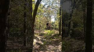 Colley Park Van Buren Arkansas Big Gap Jump [upl. by Elsy]