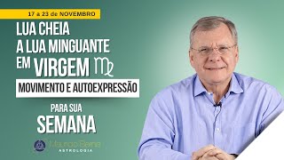 Decisões com Astrologia Semana de 17 a 23 de Novembro de 2024 [upl. by Shien]