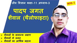 शैवाल  AlgaeThallophytaशैवालों में जननIsogamous Anisogamous Oogamous आर्थिक महत्व [upl. by Alyaj]