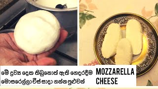 එළකිරි සහ විනාකිරි වලින් චීස් හදමුHow To Make Mozzarella Cheese  Cheese Recipe Sinhala [upl. by Harlamert]