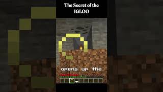 whats hiding in the igloo minecraft shorts [upl. by Neel]