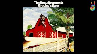 The Beau Brummels  04  Long Walking Down To Misery by EarpJohn [upl. by Kehr]