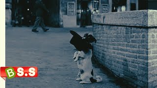 UmbertoD Movie Explained amp Hindi amp Urdu [upl. by Loux]